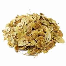 Angelica 50g