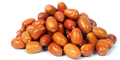 Oléastre 150g  