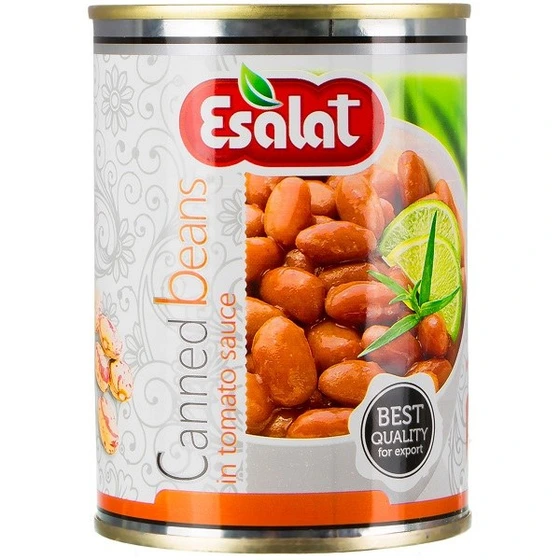 Esalat Canned Pinto Beans – 380g
