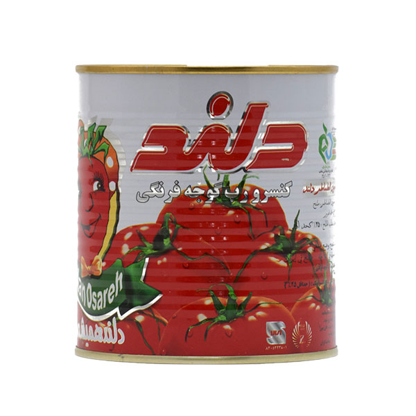 Tomato Paste 800g Daland
