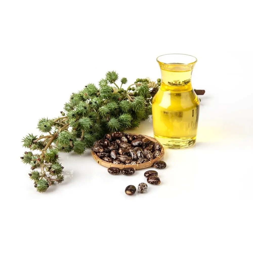 روغن کرچک – ۱۰۰ میلی‌لیتر