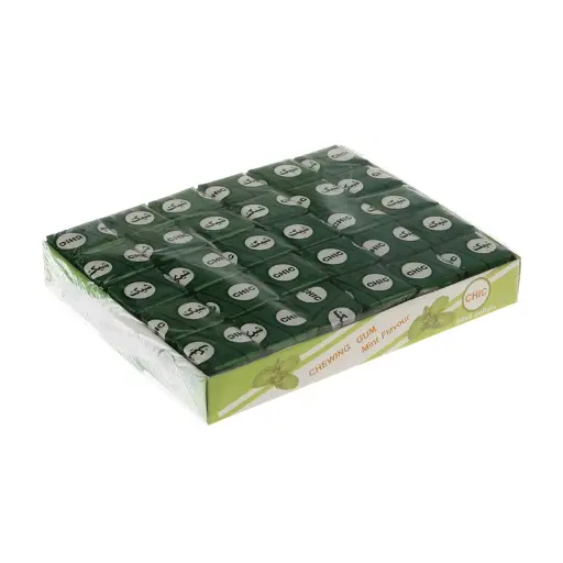 Gomme à mâcher Chic goût menthe – Boîte de 60
