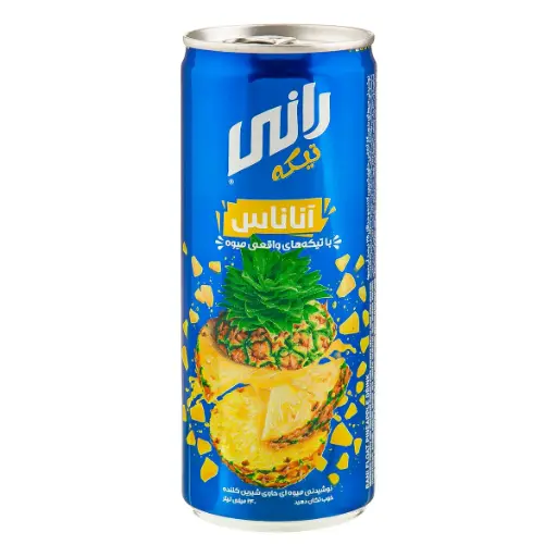 Rani Ananasgetränk 240 ml